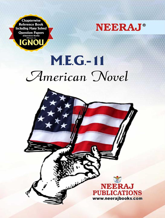 AMERICAN NOVEL