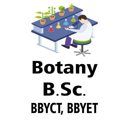 category-image